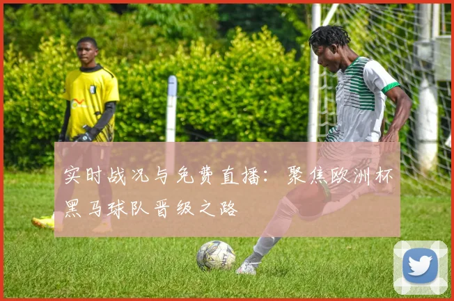 实时战况与免费直播：聚焦欧洲杯黑马球队晋级之路