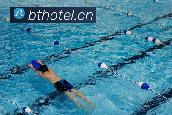 开云在线官网登录平台生态图